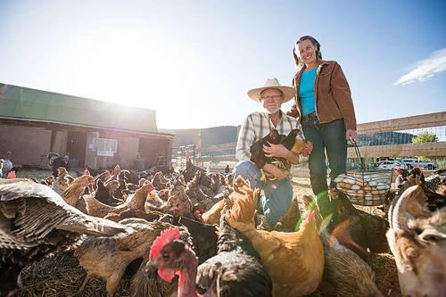 Brook and Rose LeVan raise heritage turkeys on their Colorado ranch.